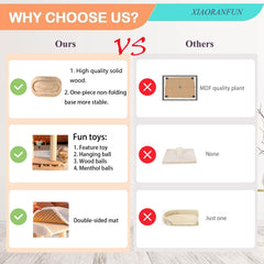 XIAORANFUN 5-in-1 ball track toy engages kittens with interactive play