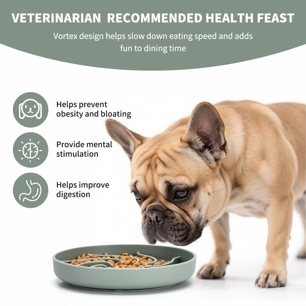 XIAOZHIHUI puzzle design slows eating and adds mental stimulation