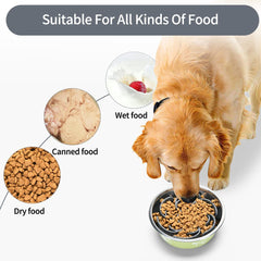 XIAOZHIHUI slow feeder bowl insert bottom with suction cups anchors to bowls