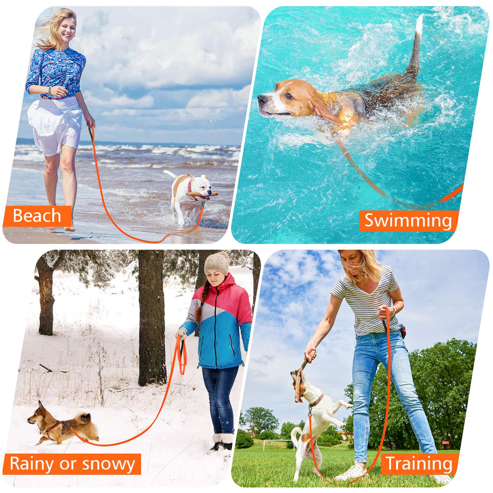 XiaZ 20ft long line in action for recall training.