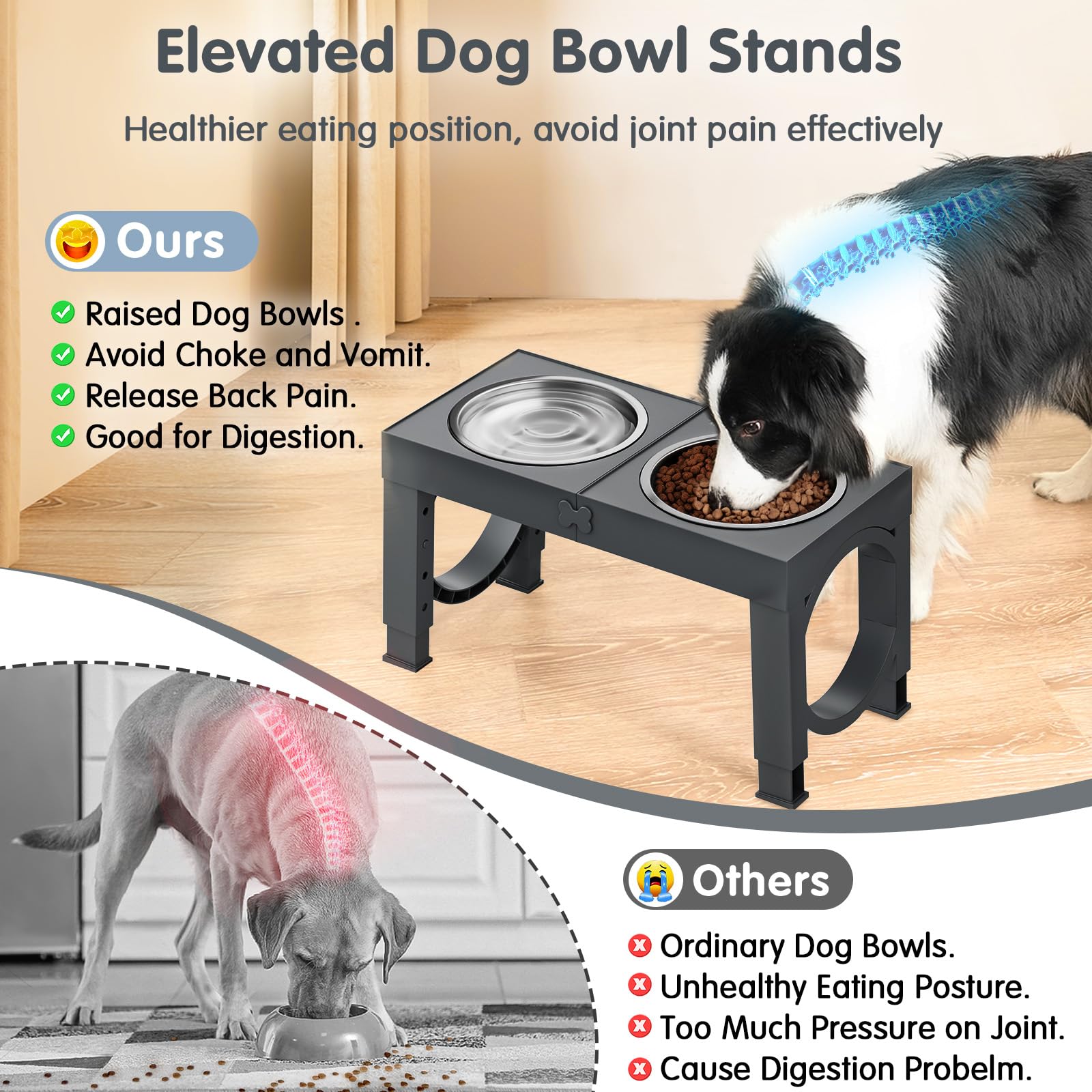 XiaZ anti-slip stand keeps bowls stable during vigorous meals.