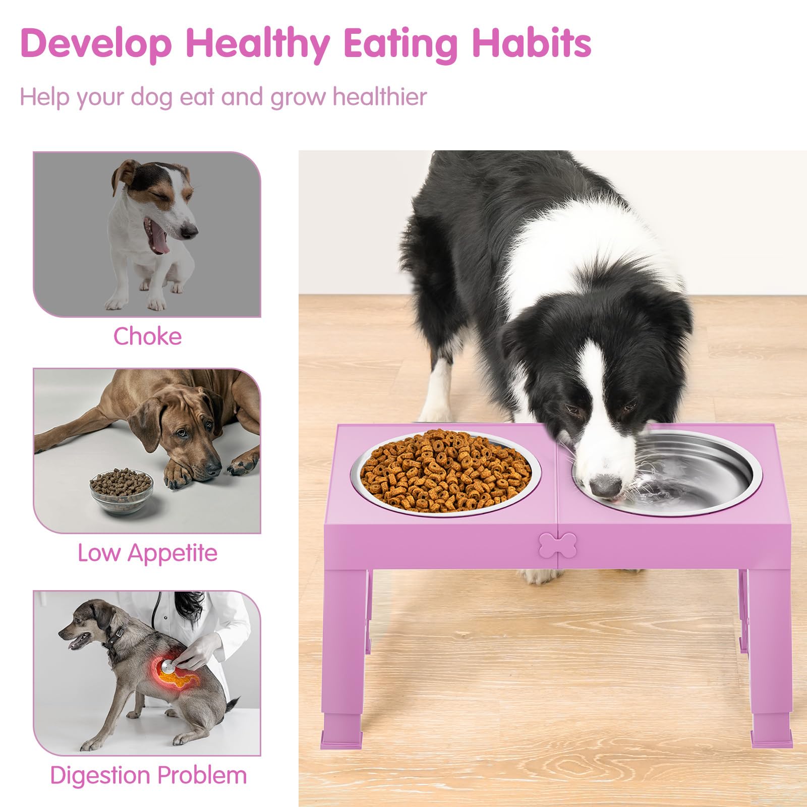 XiaZ anti-slip quiet durable stand keeps bowls steady during meals.