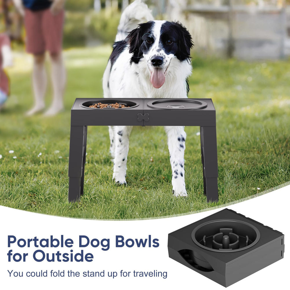 XIAZ dog mealtime setup shows steady bowls and tidy feeding area.
