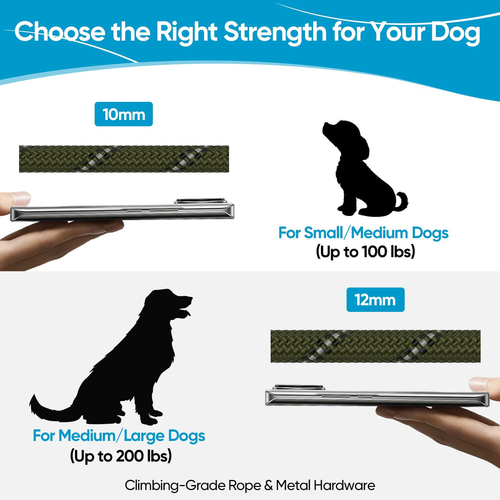 XiaZ Double Dog Leash for night walks keeps dogs visible during dusk