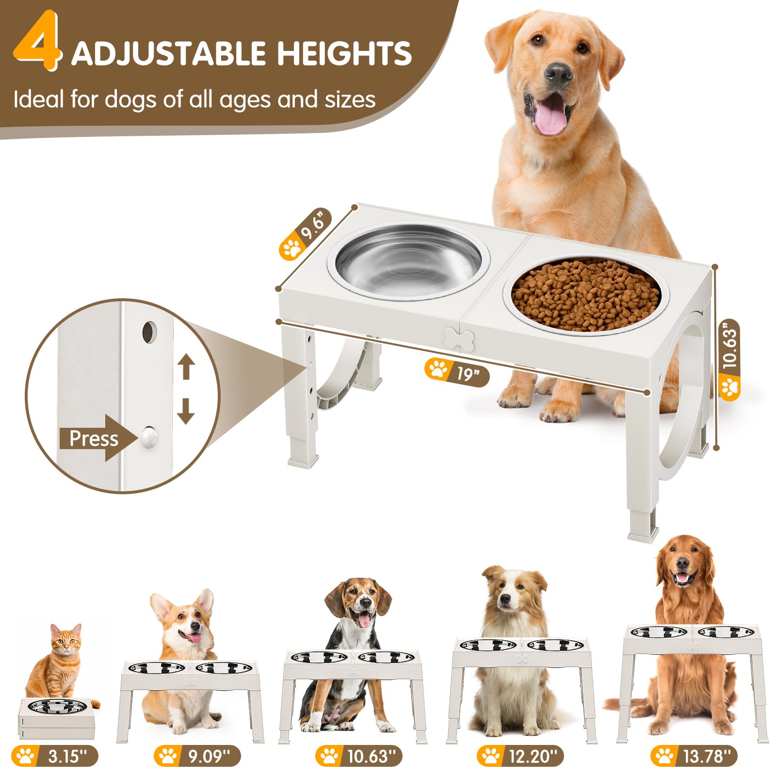 XiaZ five-height adjustable stand demonstrates versatile feeding heights for dogs.