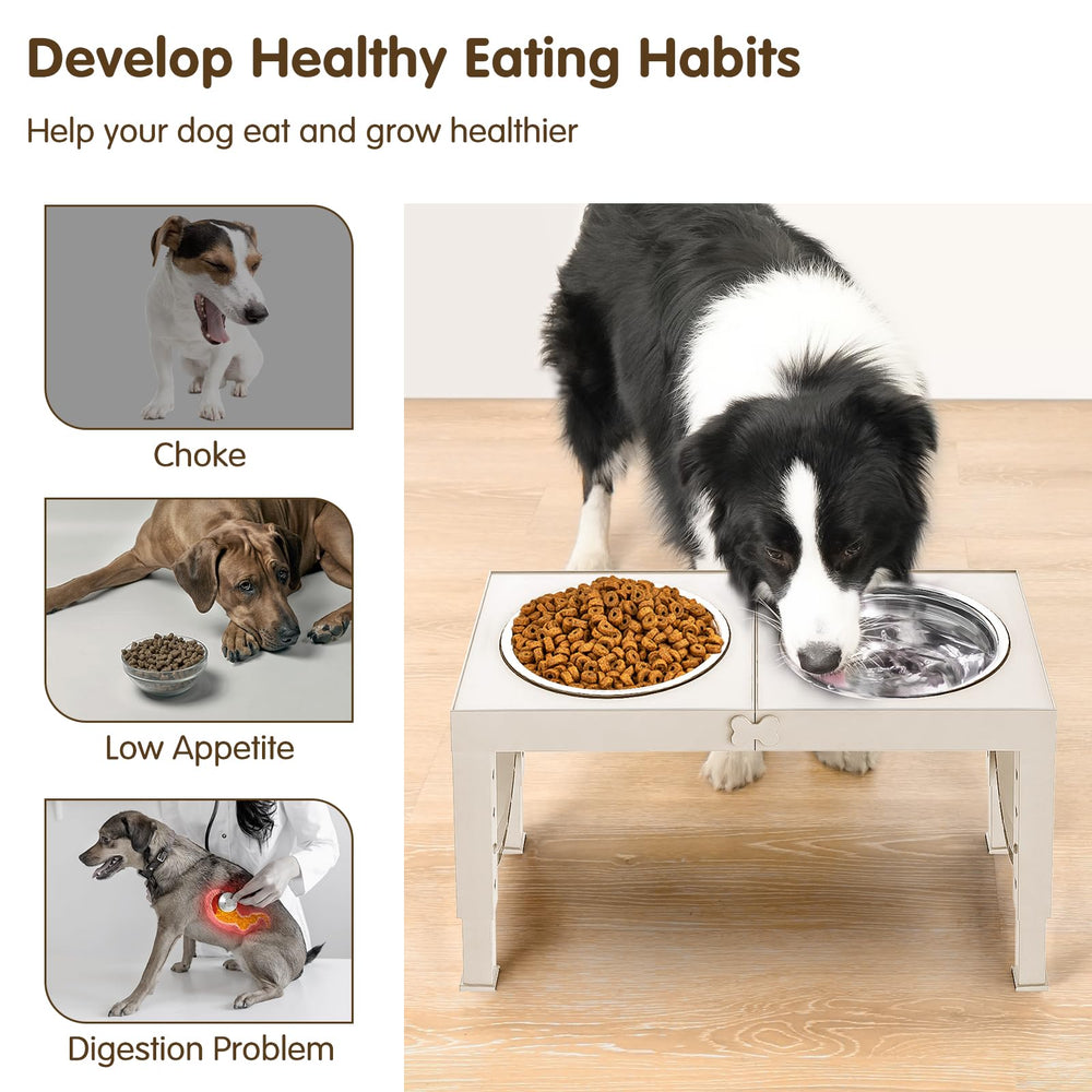 XiaZ anti-slip design keeps bowls steady during meals.