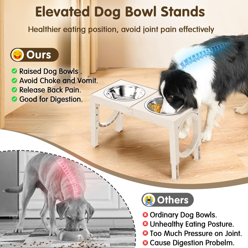 XiaZ dual stainless bowls provide easy cleaning and quick refills.
