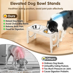 XiaZ dual stainless bowls provide easy cleaning and quick refills.