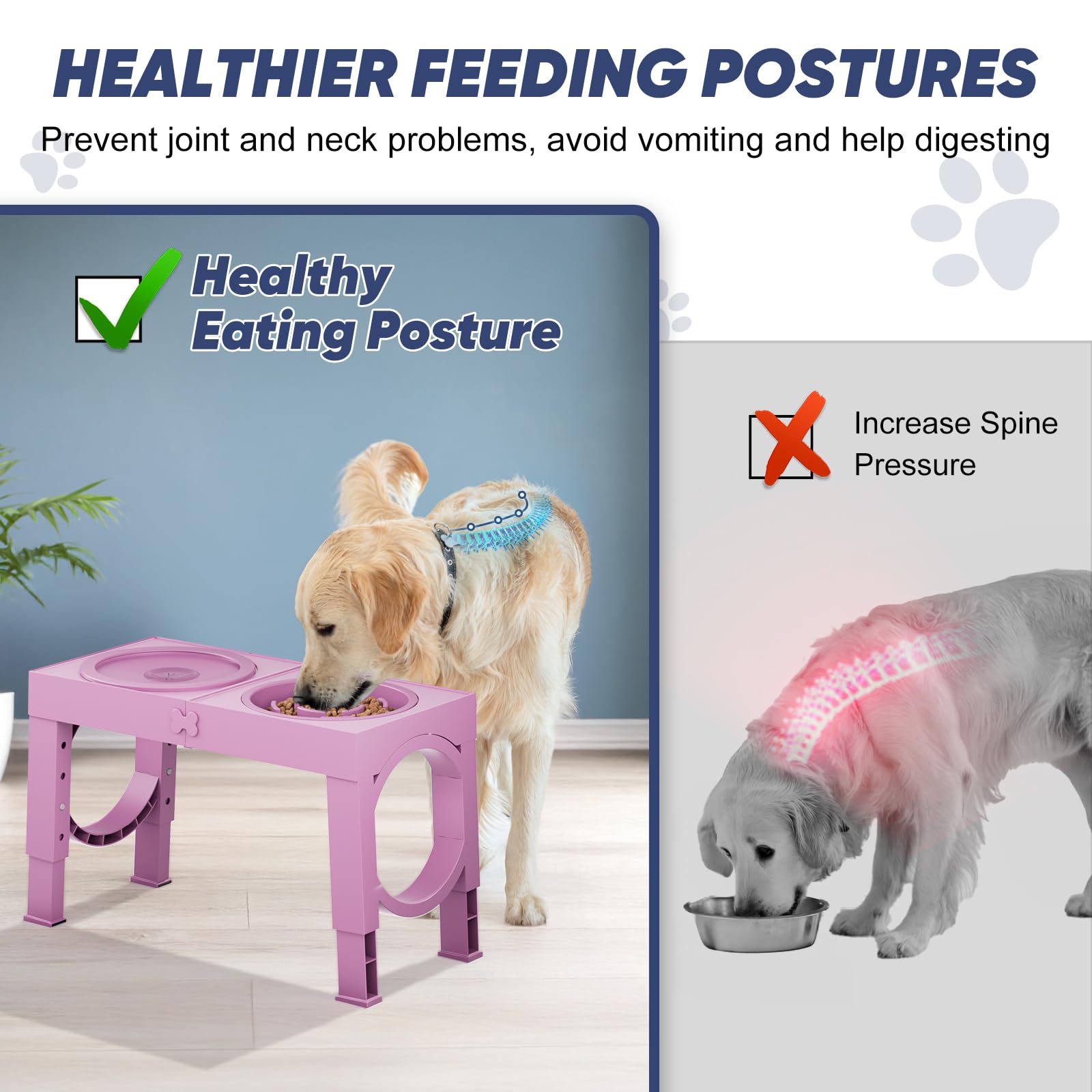 XIAZ Non-slip base demonstrates stable mealtime for slip-free feeding