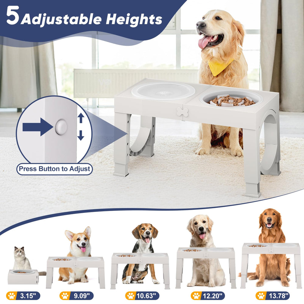 XiaZ elevated posture setup supports comfortable feeding for dogs