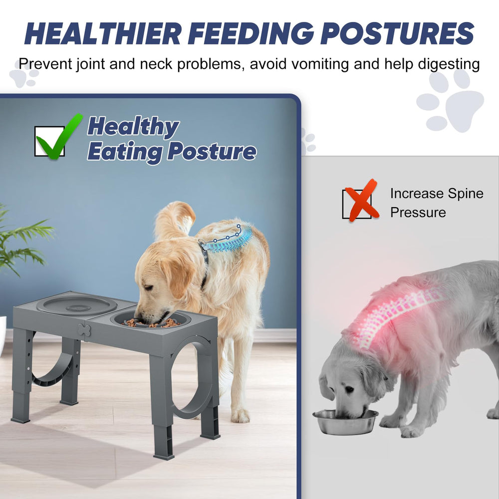 XIAZ slow feeder bowl stand height settings displayed for different dog sizes