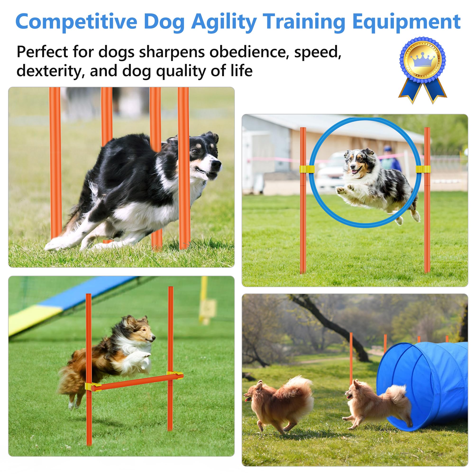 XiaZ tire jump demonstrates safe, engaging cardio for energetic dogs.