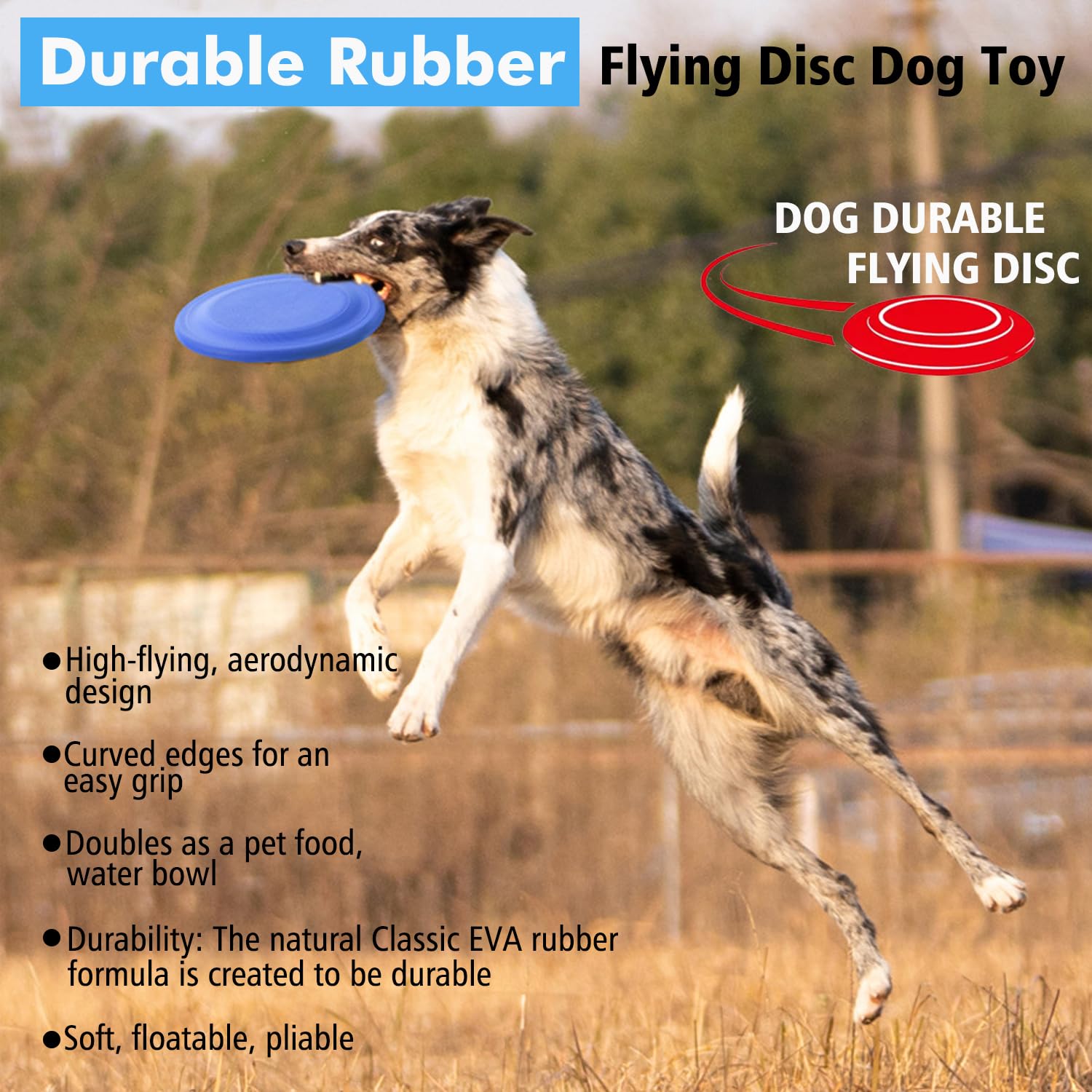 XIGOU bright-colored disc keeps dogs engaged during fetch