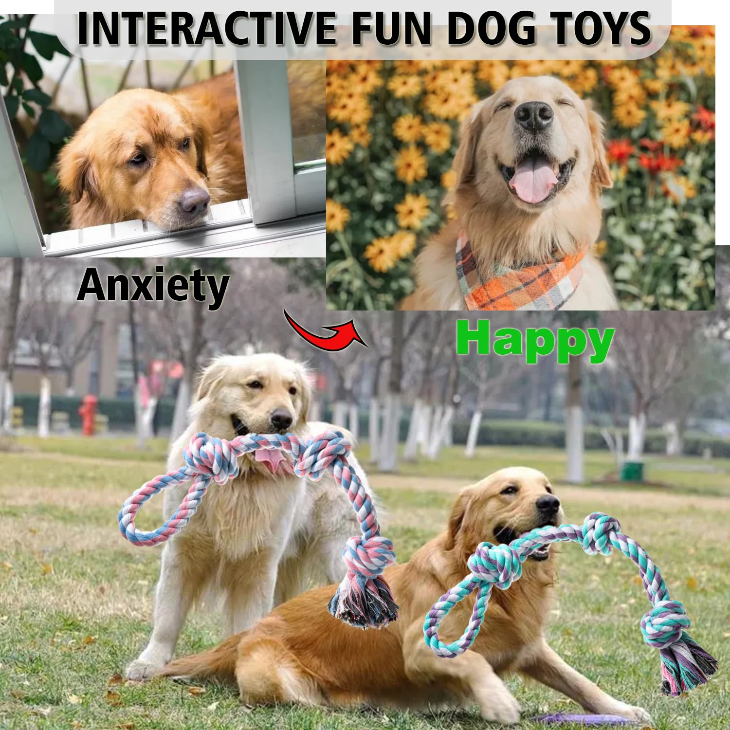 XIGOU dog rope toy tug-of-war action for owner bonding.