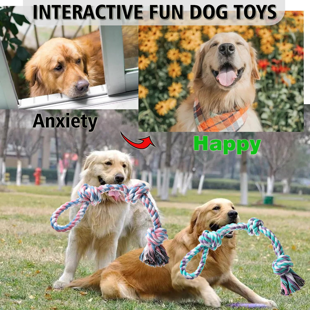XIGOU dog rope toy tug-of-war action for owner bonding.