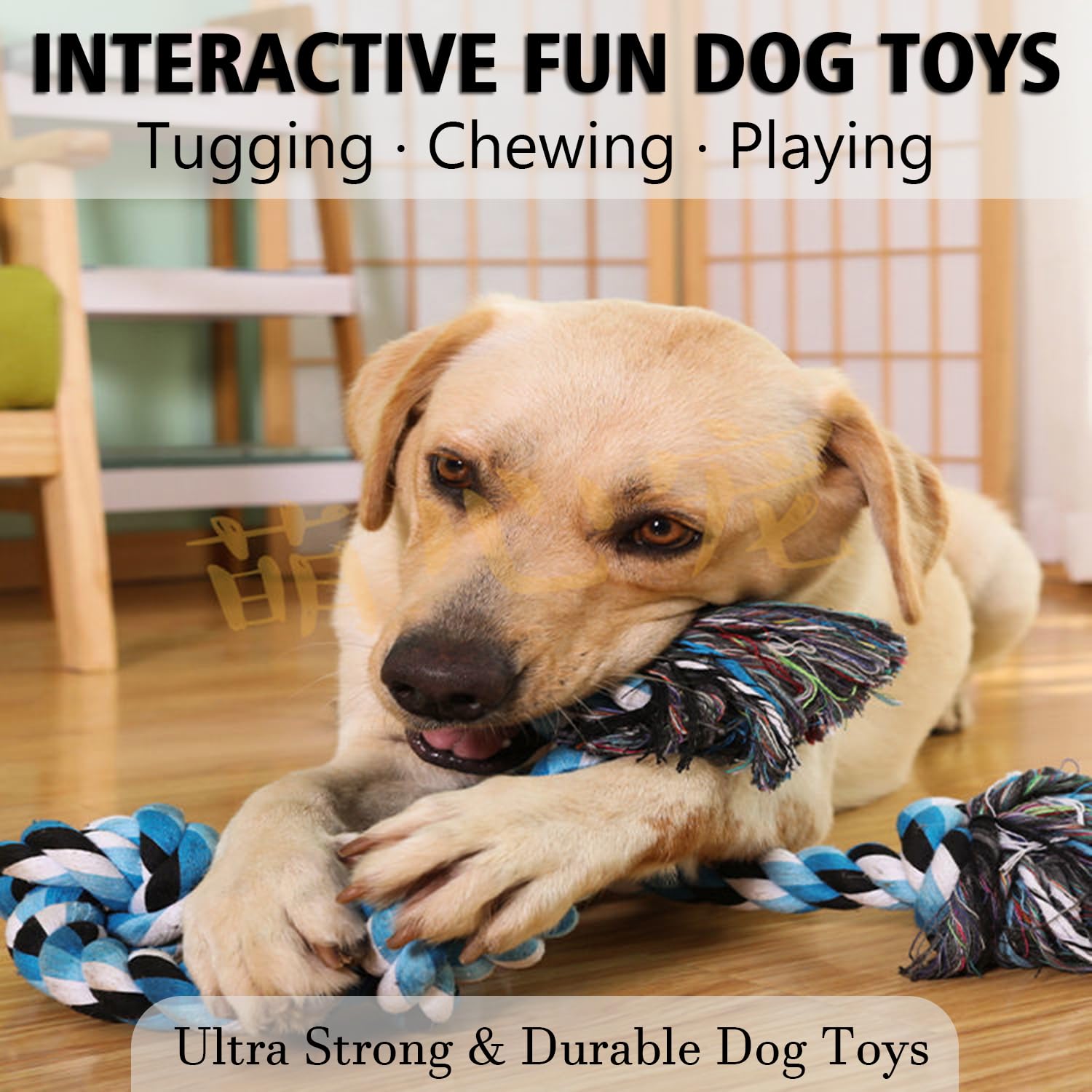 XIGOU large-dog tug of war rope toy in action promotes cooperative play and mouth exercise