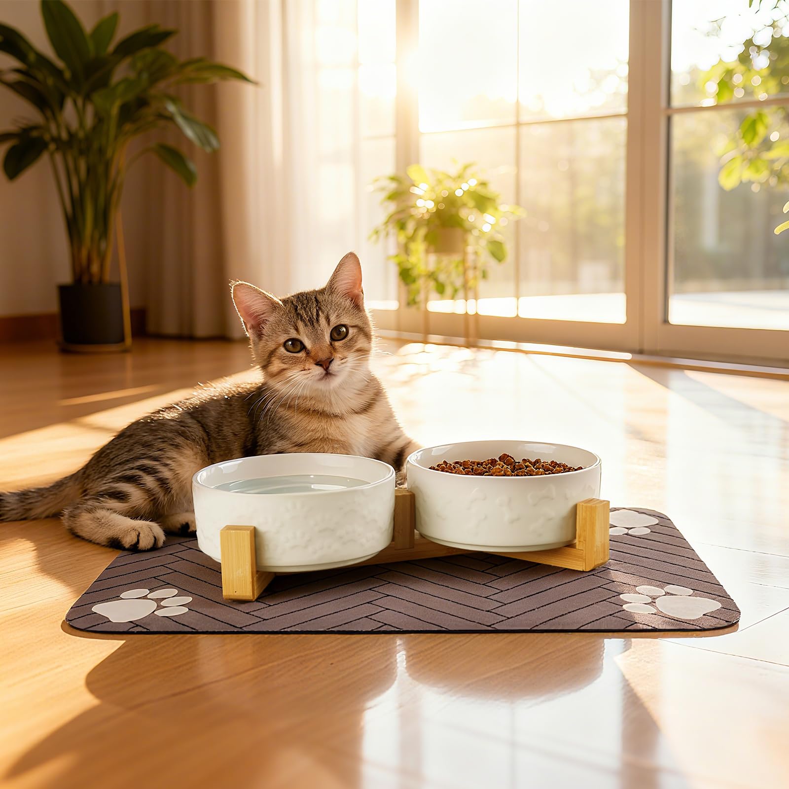 Xihan full set demonstrates an elevated, easy-clean feeding station.