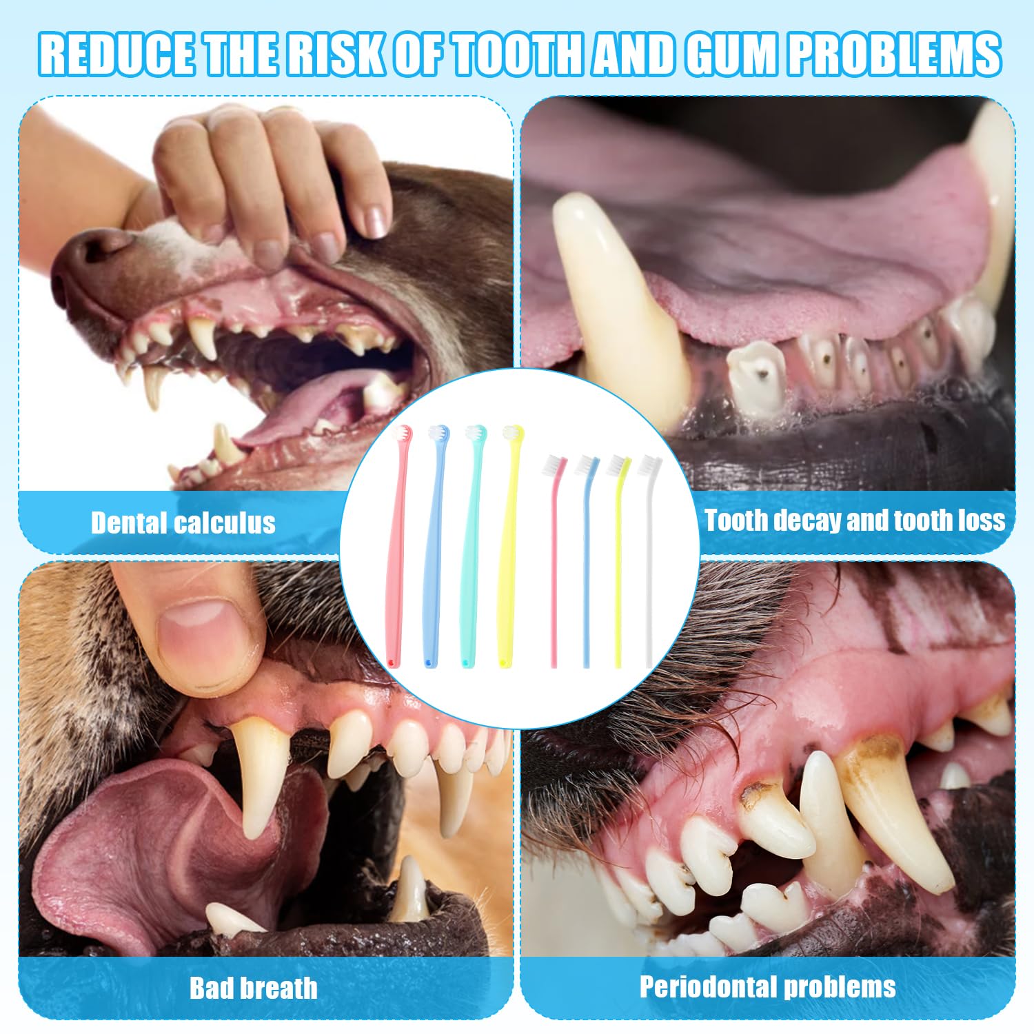 XIHIRCD 8-piece-pack keeps multiple brushes ready for home care.