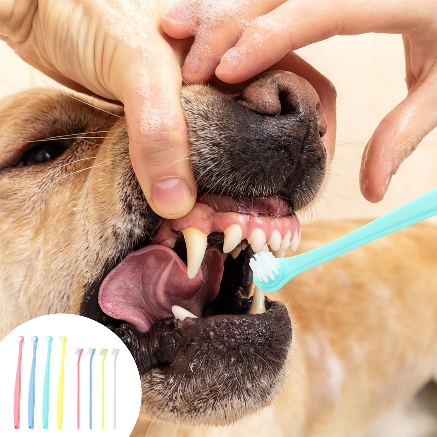 XIHIRCD pet dental care supplies help maintain fresh breath between vet visits.