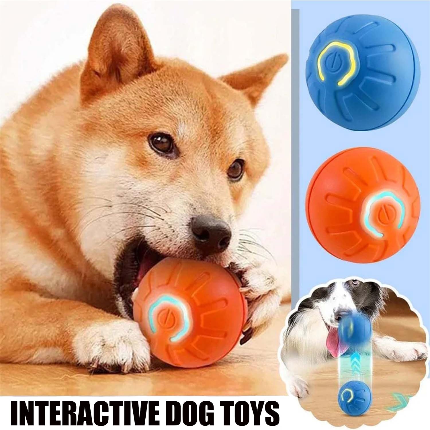 Xihongshi Shaky Ball self-rolling motion keeps dogs active on various floors.