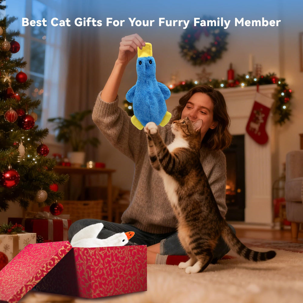 XIHULGJIN catnip toy gift set for cat households is a thoughtful Christmas present