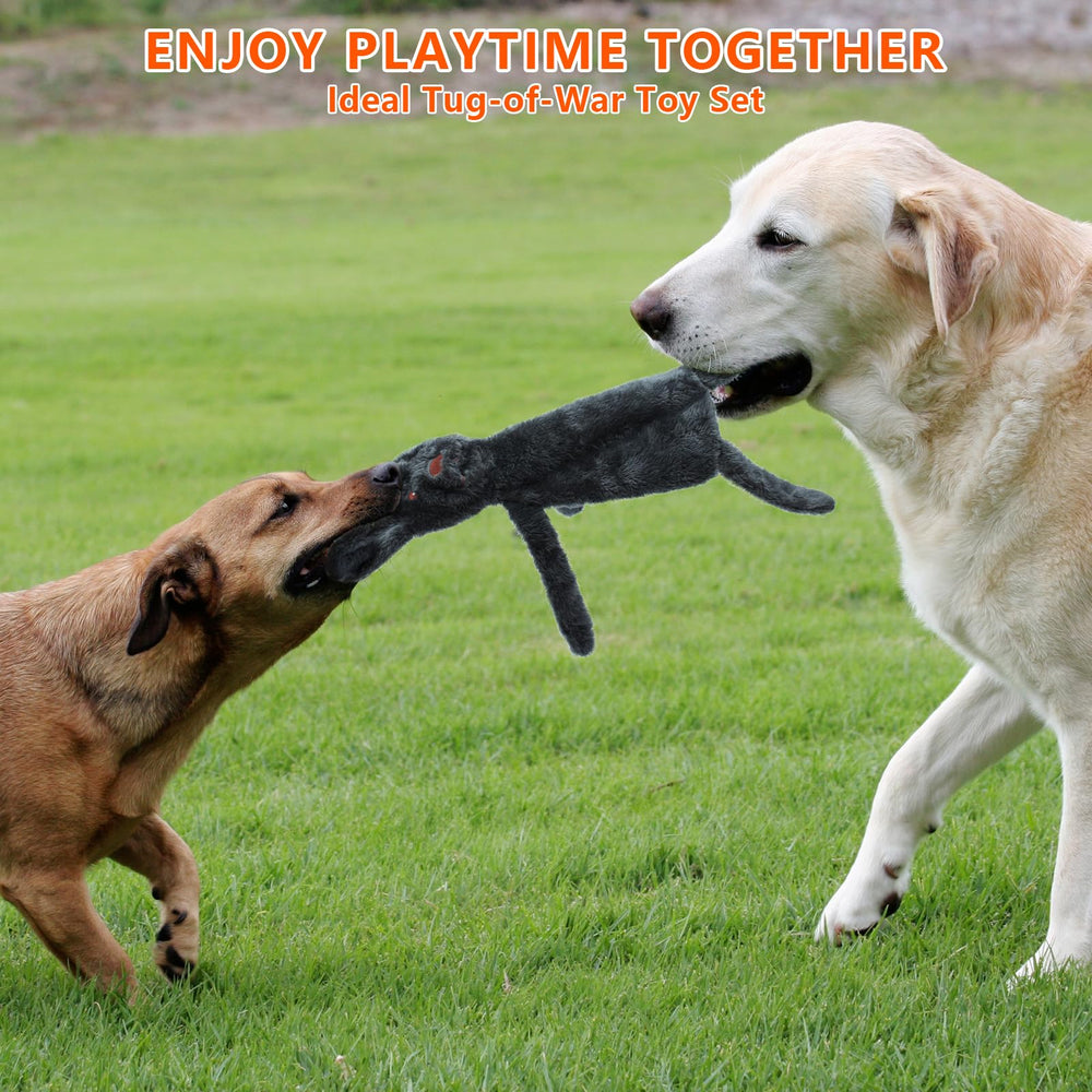 XIHULGJIN Christmas dog toy gift sparks holiday joy