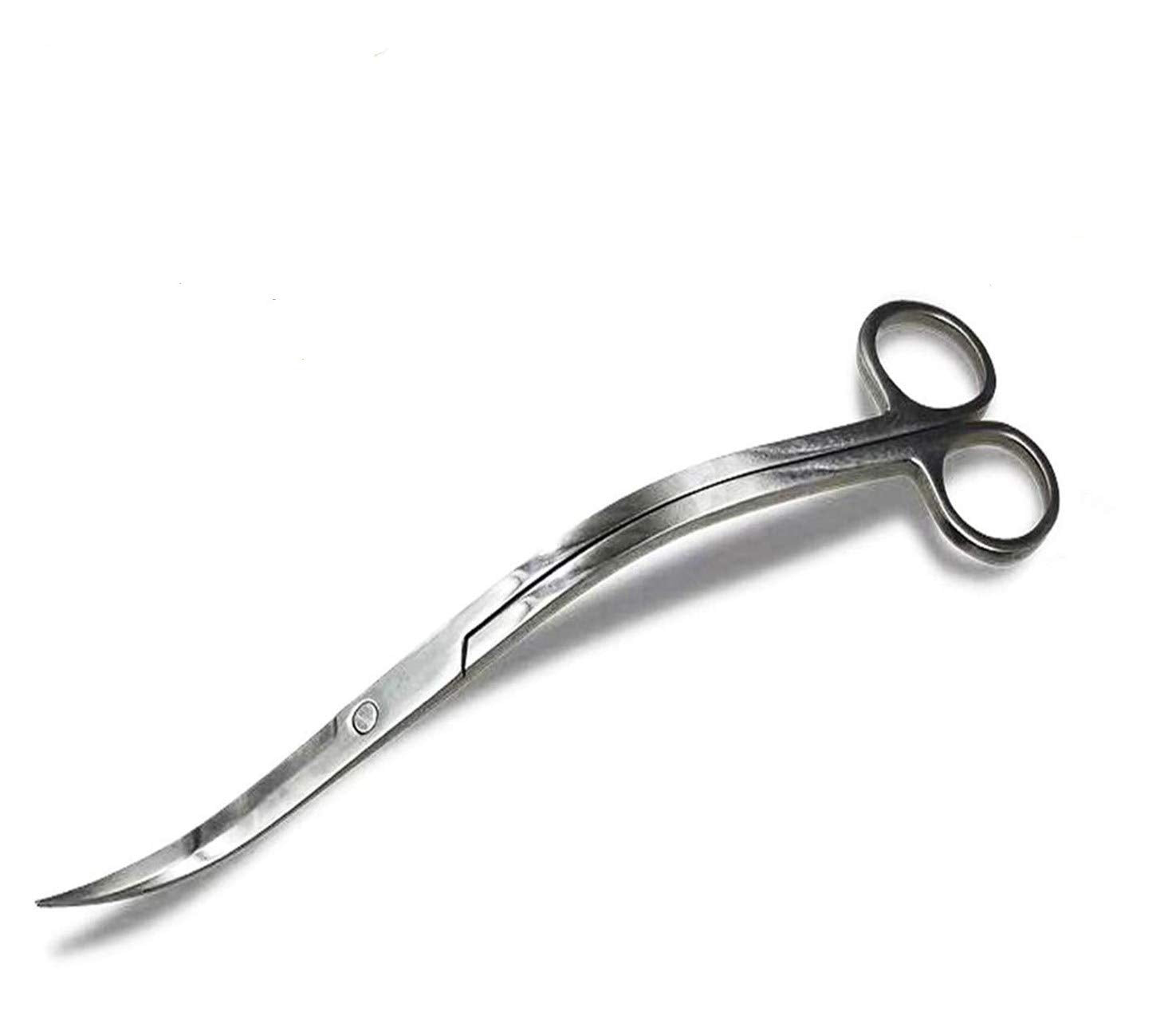 XILEWHZF aquarium scissors with mirror-wave finish for precise, clean plant trimming