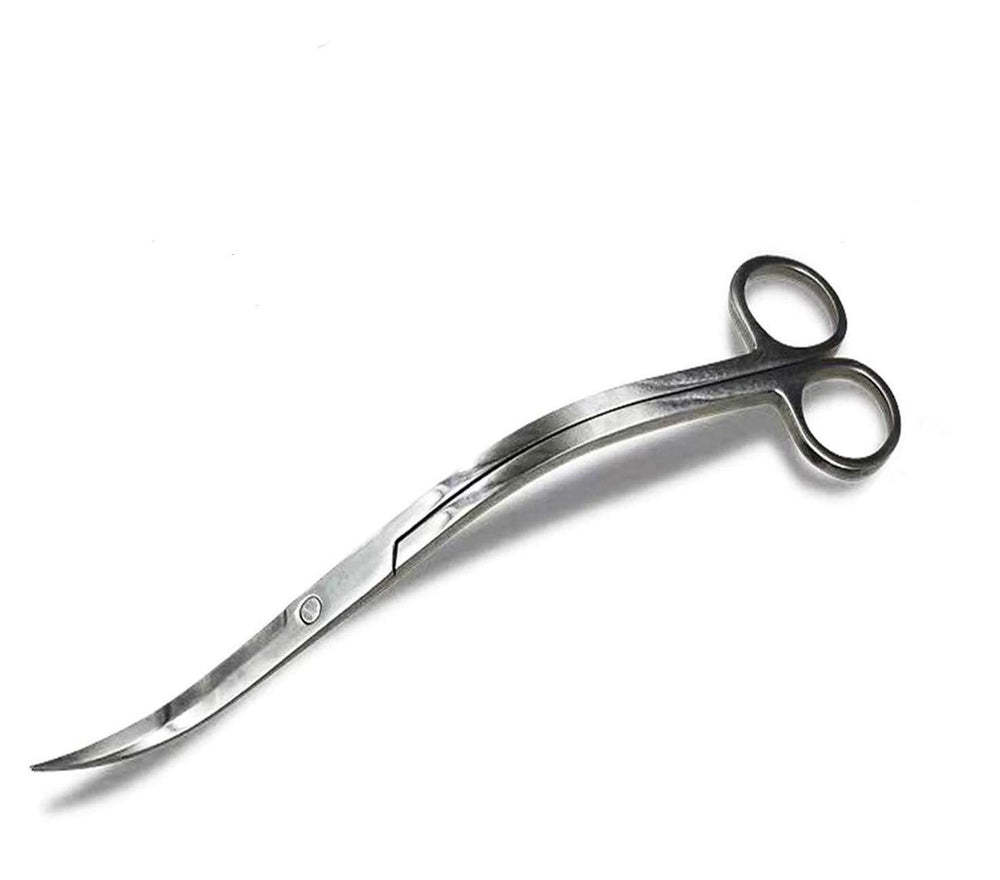 XILEWHZF aquarium scissors with mirror-wave finish for precise, clean plant trimming