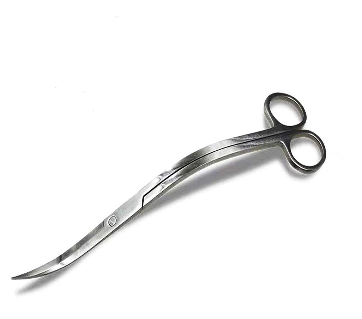 XILEWHZF aquarium scissors with mirror-wave finish for precise, clean plant trimming