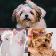 XIMA dog-cat-rabbit grooming bows on sturdy alligator clips.