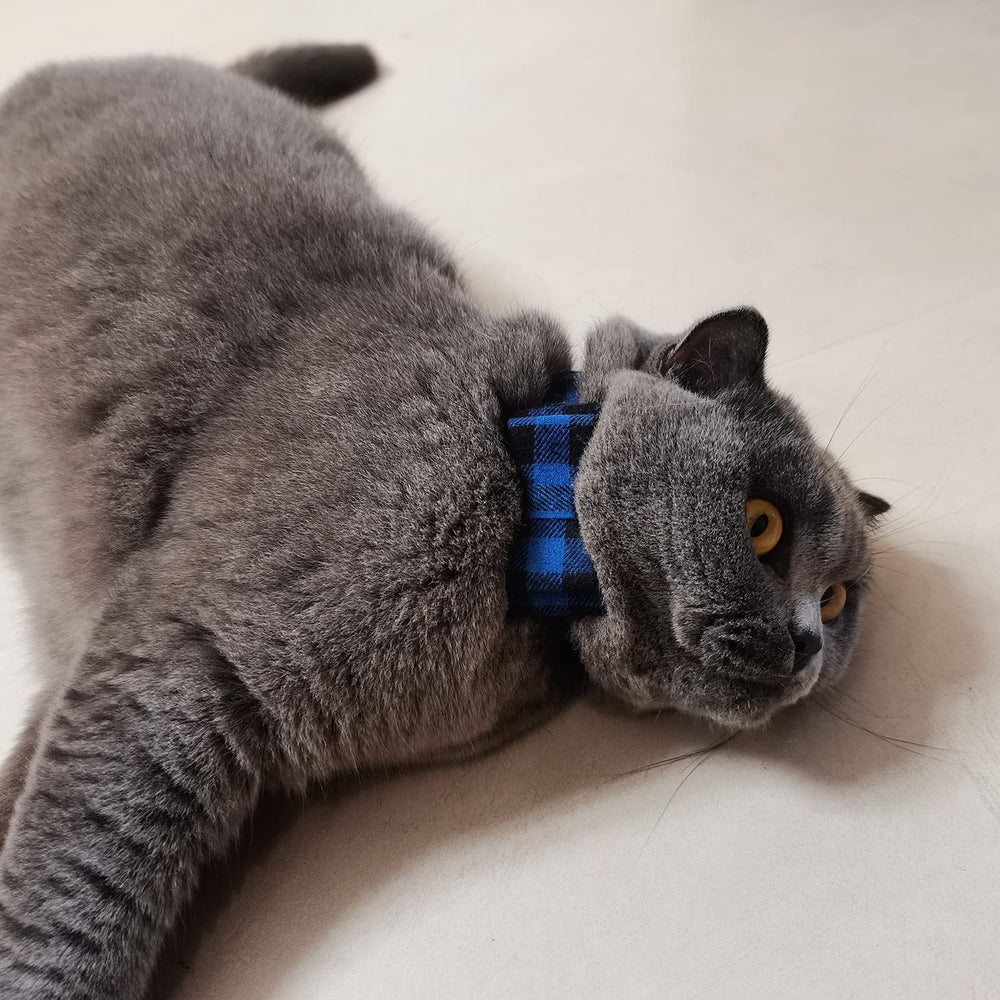 Ximipet leash blue plaid designed for comfortable control during daily strolls