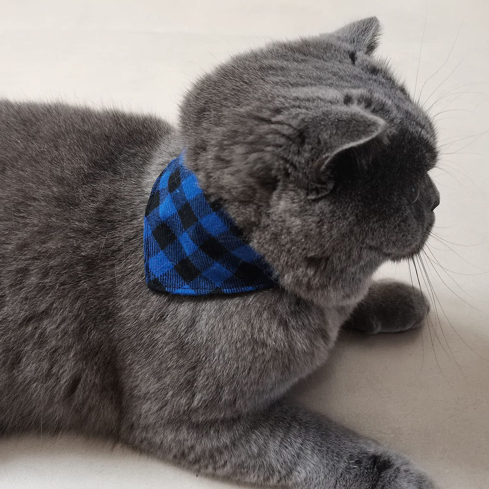 Ximipet XS size collar set for tiny pets with comfortable fit