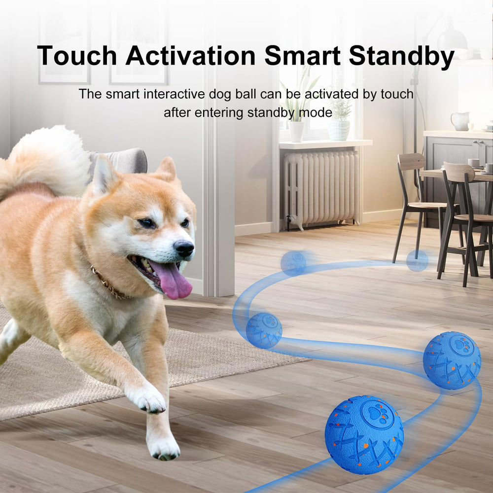 XINGZUAN interactive dog ball 3.14-inch diameter suitable for medium and large dogs.