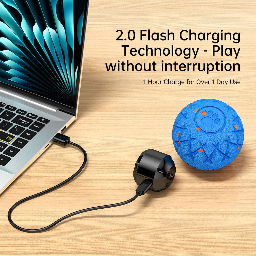 XINGZUAN interactive dog ball IP54-rated waterproof for indoor-outdoor use.