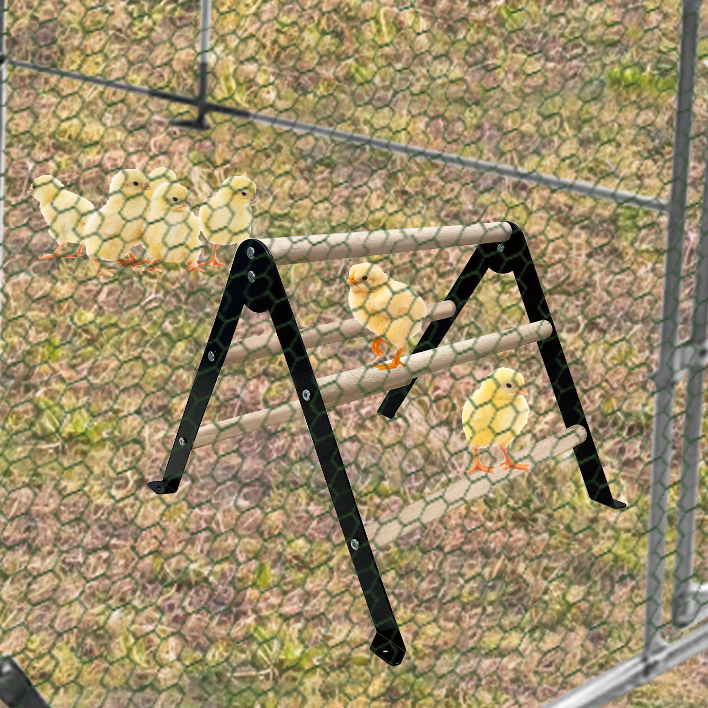 XINYI chick perch assembly kit laid out for easy setup.