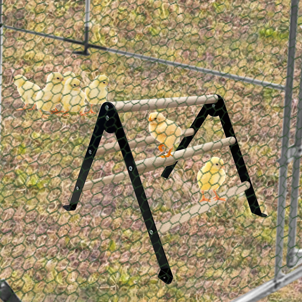 XINYI chick perch assembly kit laid out for easy setup.