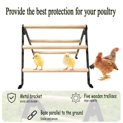 XINYI multipurpose perch in coop demonstrates versatile bird seating.