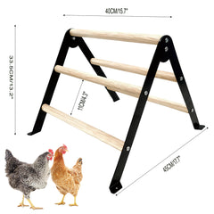 XINYI natural eucalyptus wooden roosting bars highlight pecking-resistant design.