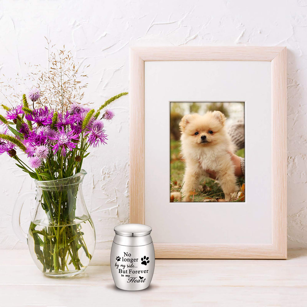 XIUDA paw-print-keepsake captures a pet's memory for daily reminiscence.