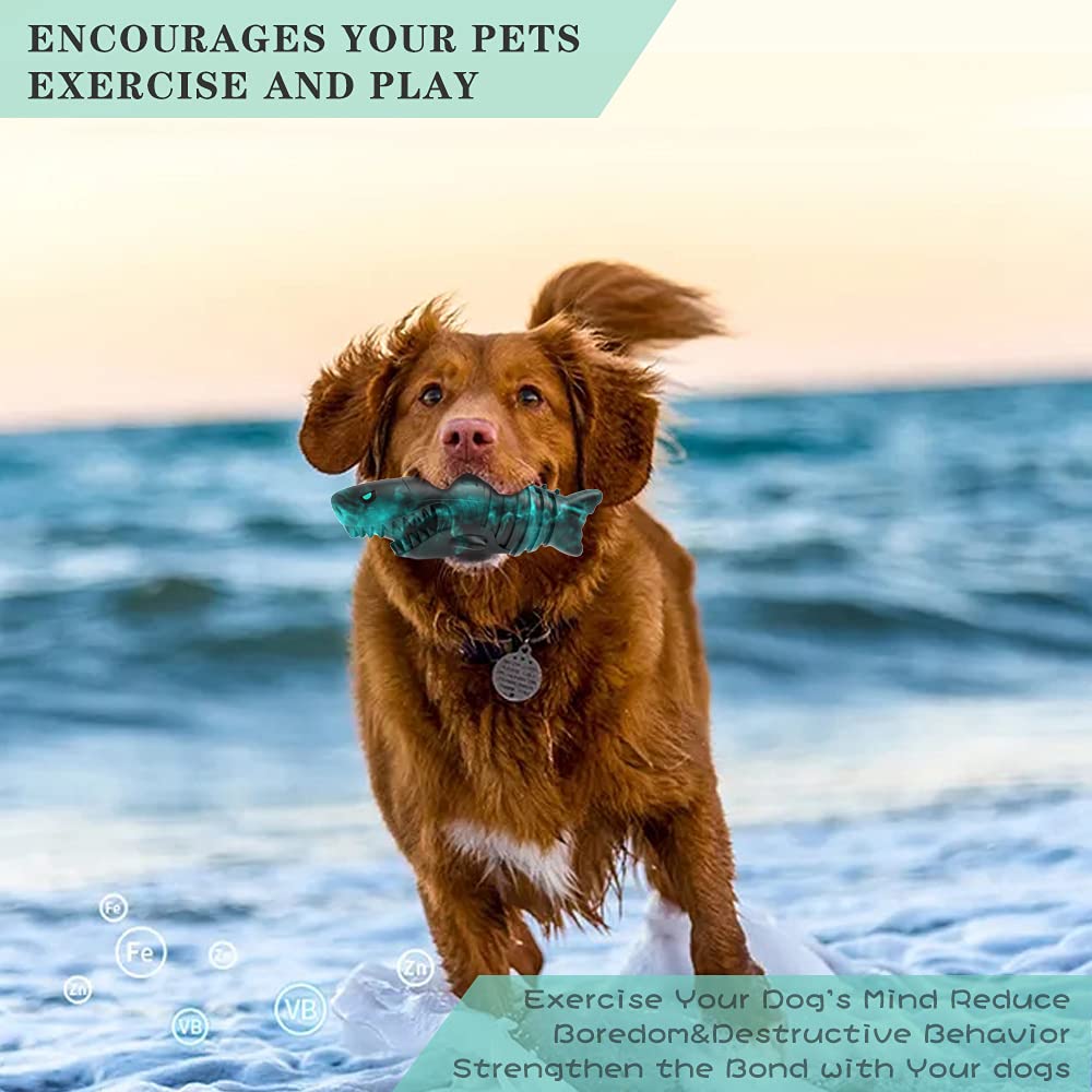 XIUNPR-6 aggressive-chewer design closeup shows durable construction