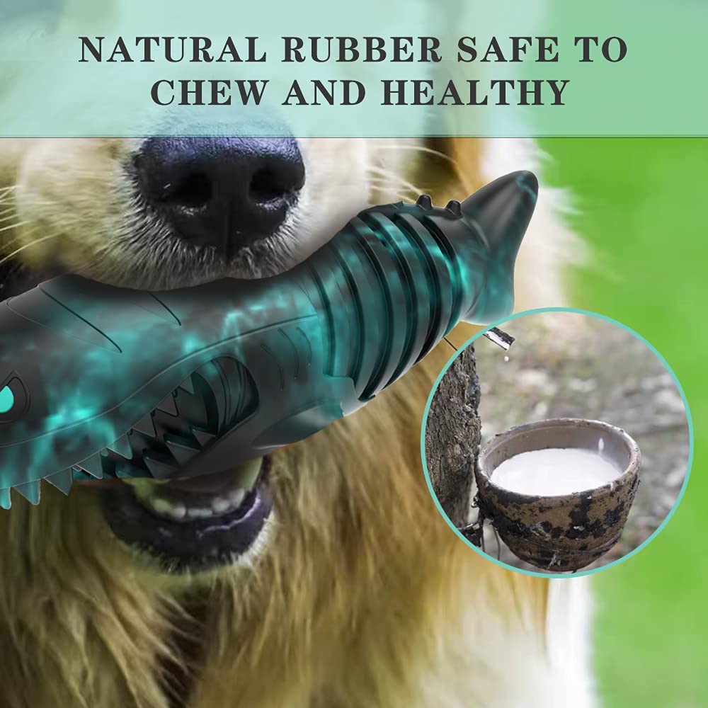 XIUNPR-6 interactive play closeup highlights bonding with dog and owner