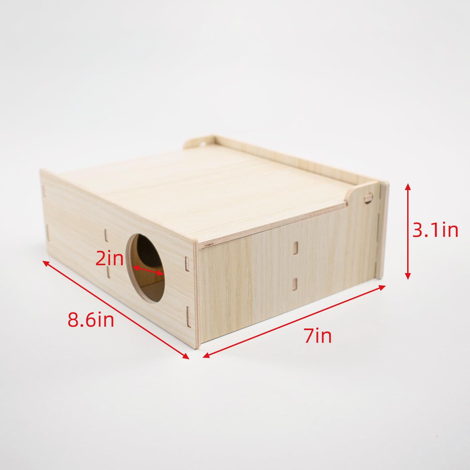 Xiylon universal cage integration shows easy setup with standard habitats.