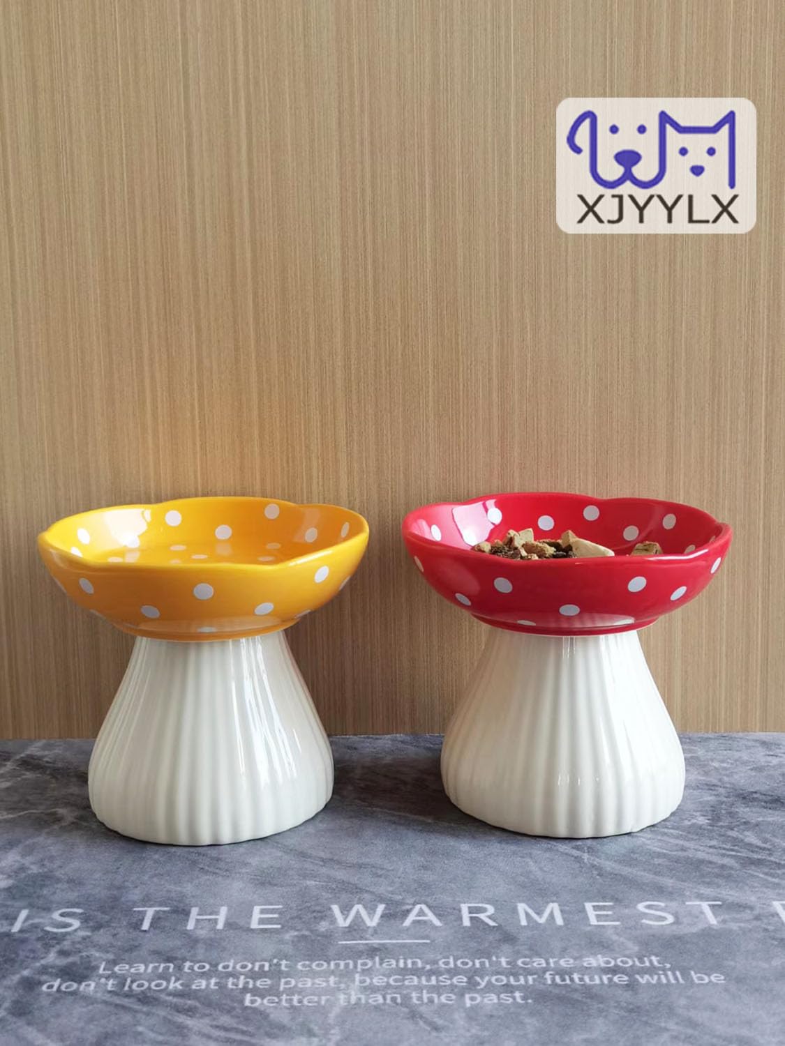 XJYYLX indoor-pet meals setup with elevated bowls for neat feeding