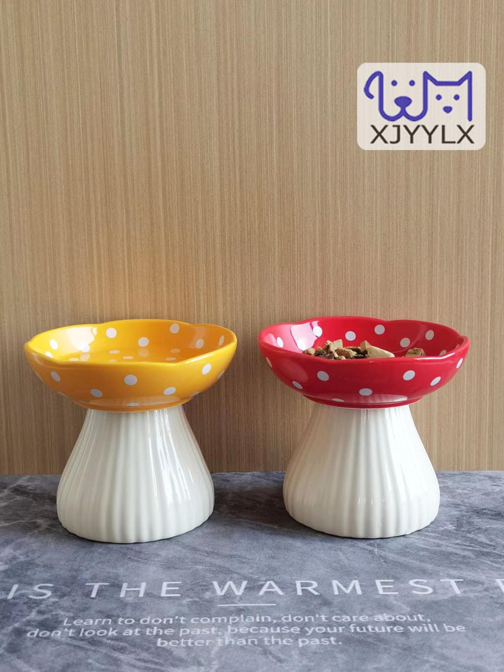 XJYYLX indoor-pet meals setup with elevated bowls for neat feeding