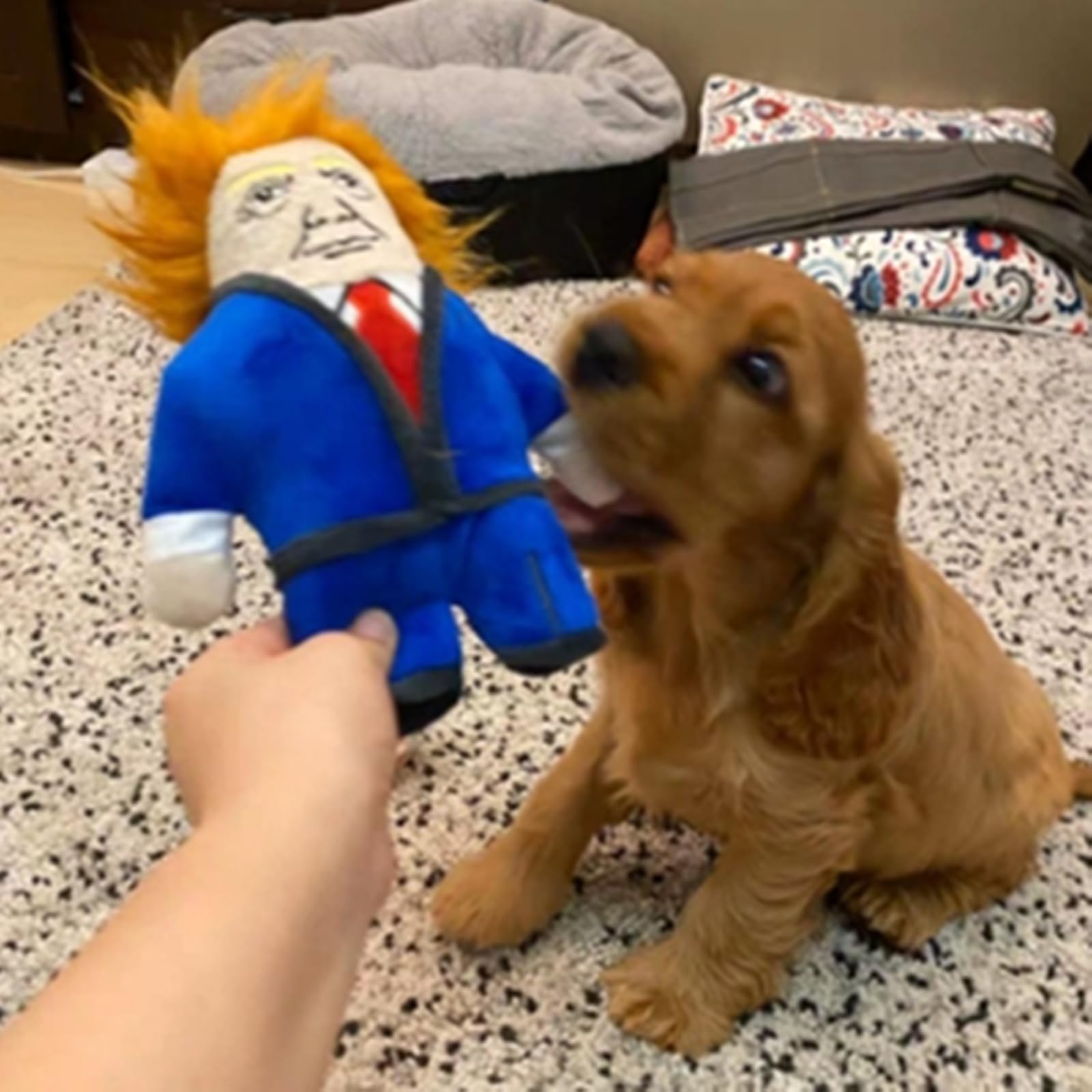 XKCL Squeaky Toy designed for dogs of all sizes and play.