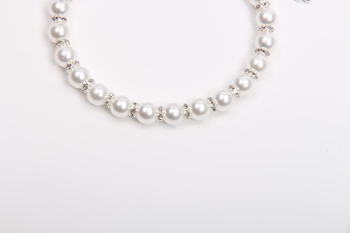 XKSRWE luxury-pet-necklace-on-dog demonstrates a stylish weekend party accessory.