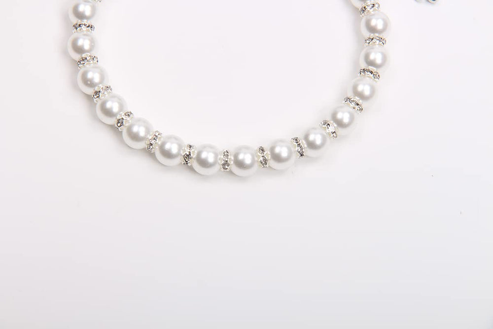 XKSRWE luxury-pet-necklace-on-dog demonstrates a stylish weekend party accessory.