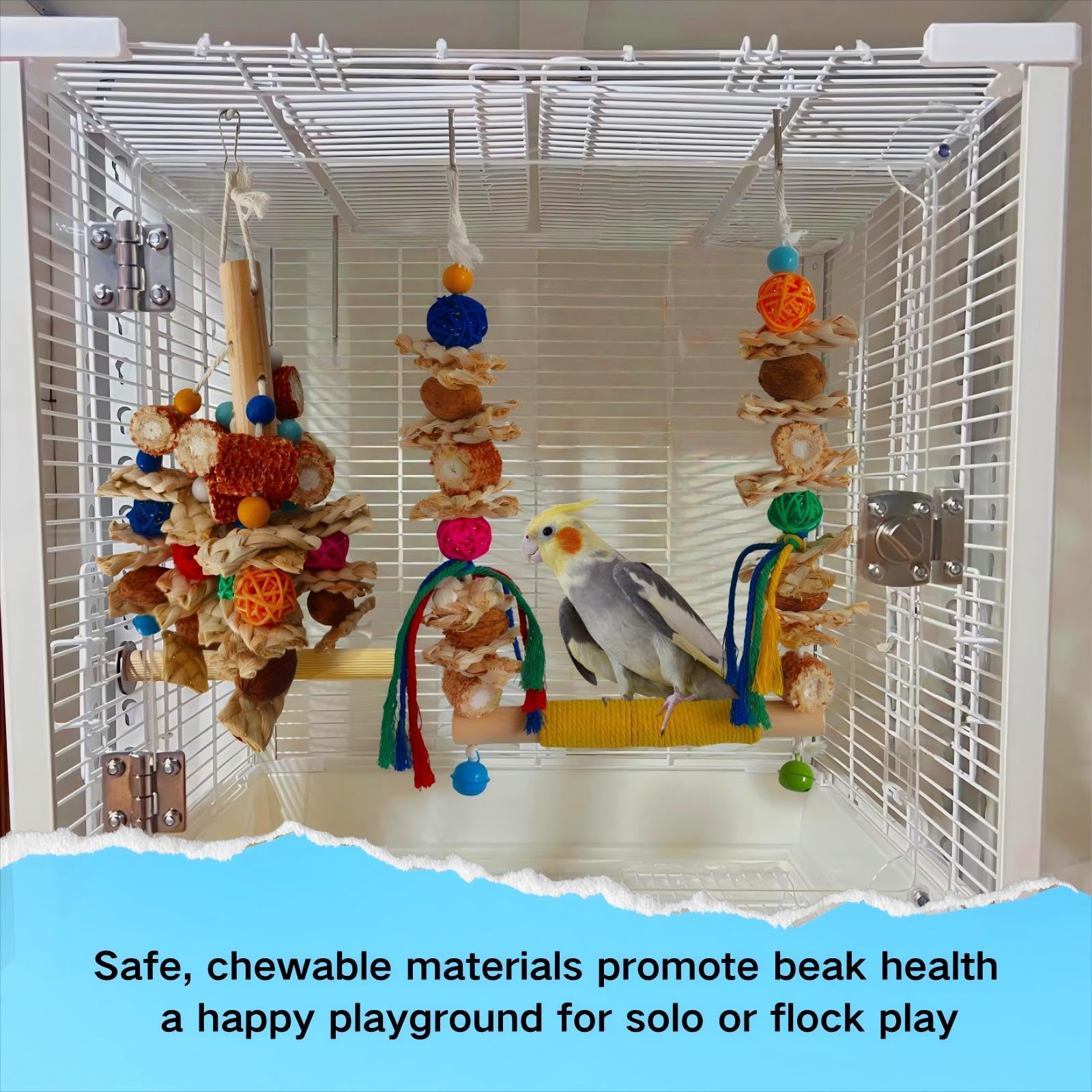 XLpeixin bird swings side-perch view shows elevated resting spot.