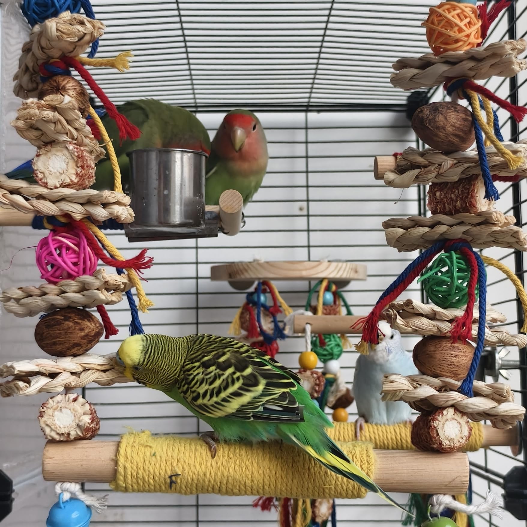 XLpeixin wood-texture closeup highlights natural chew surfaces for birds.