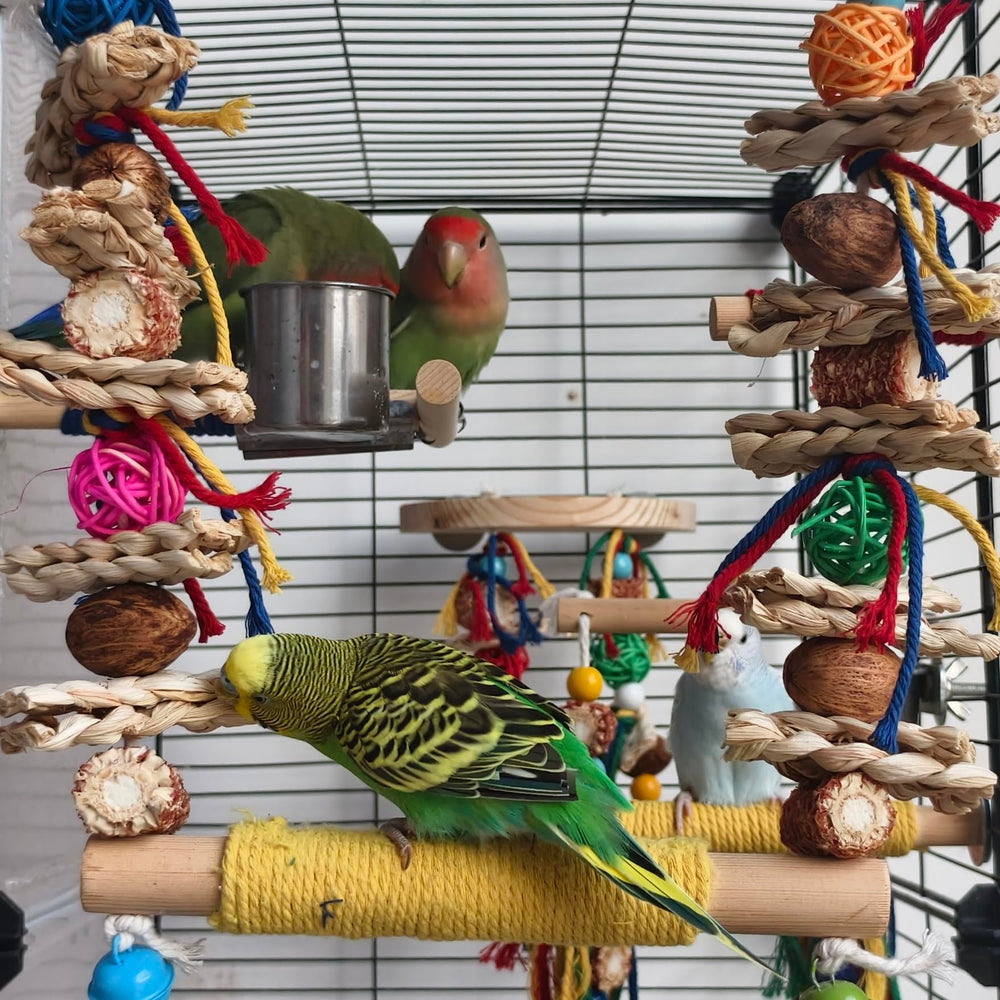 XLpeixin wood-texture closeup highlights natural chew surfaces for birds.